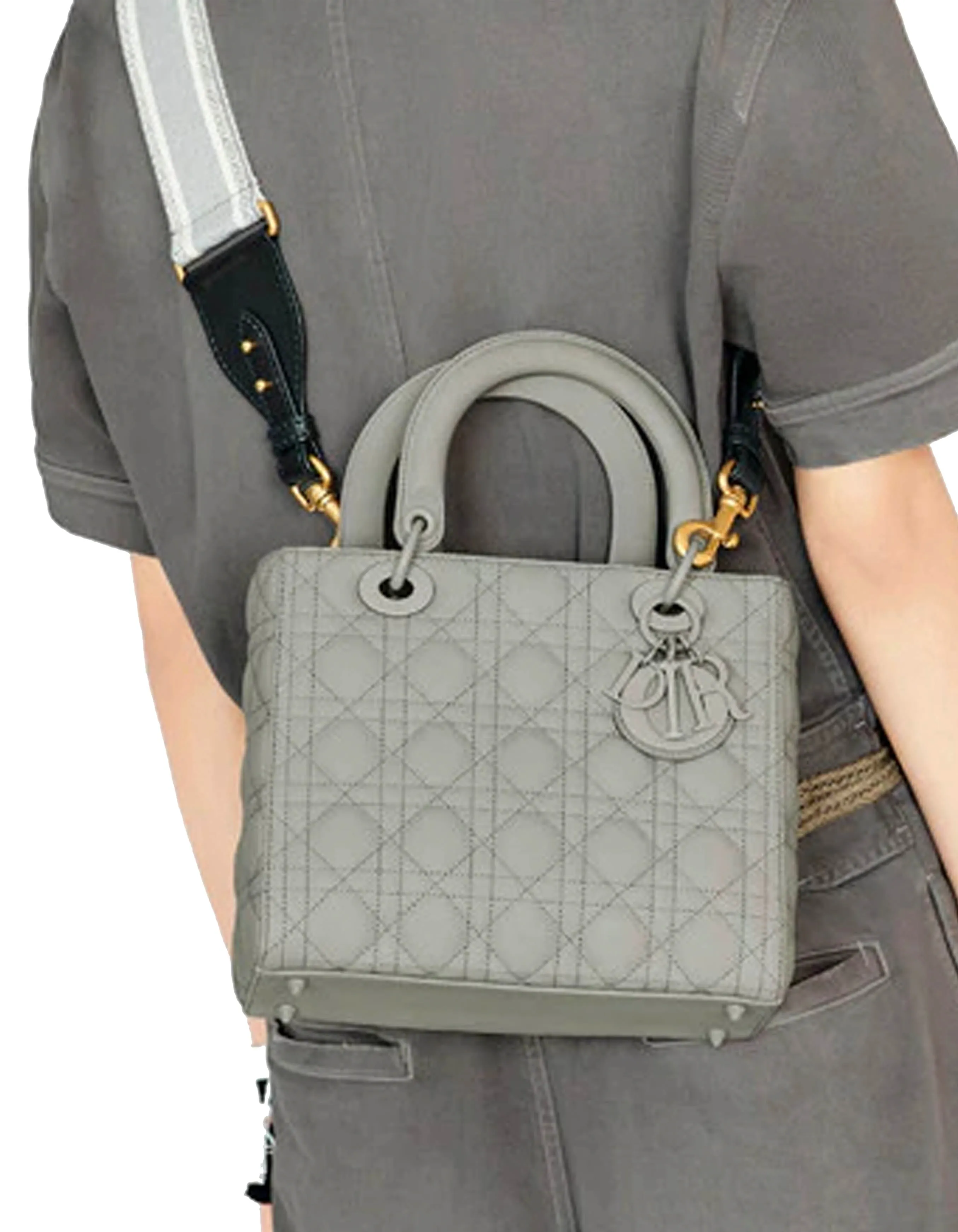 Dior Grey Canvas CHRISTIAN DIOR Embroidered Bag Strap