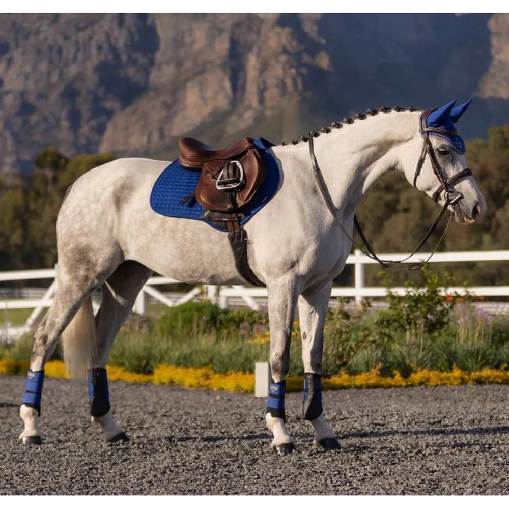 IT01152 LeMieux Suede Close Contact Square English Saddle Pad - Benetton