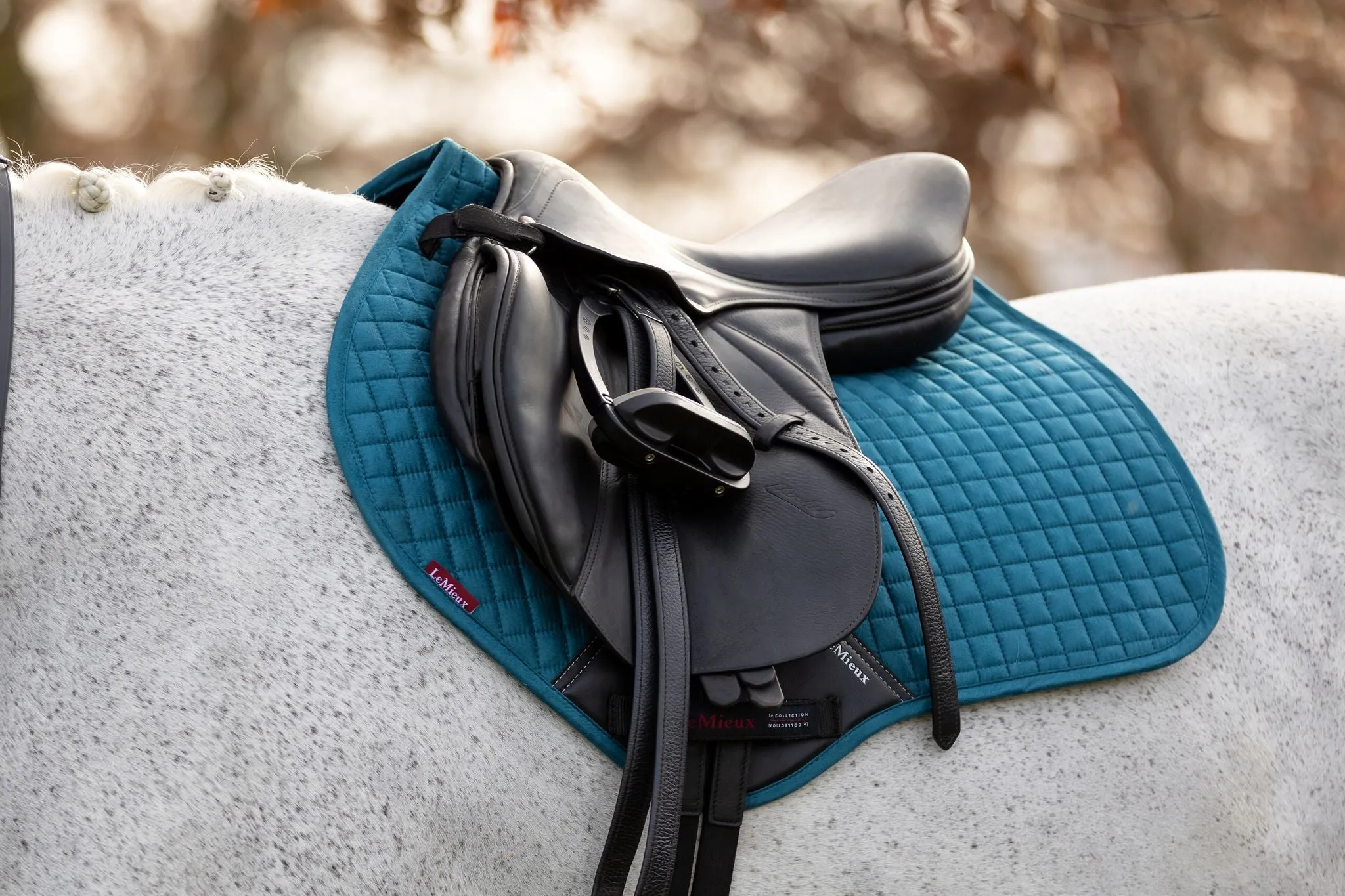 LeMieux ProSport Suede Close Contact Square Saddle Pad