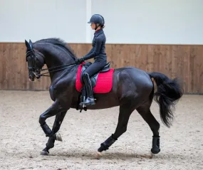 LeMieux Prosport Suede Square Dressage Saddle Pad