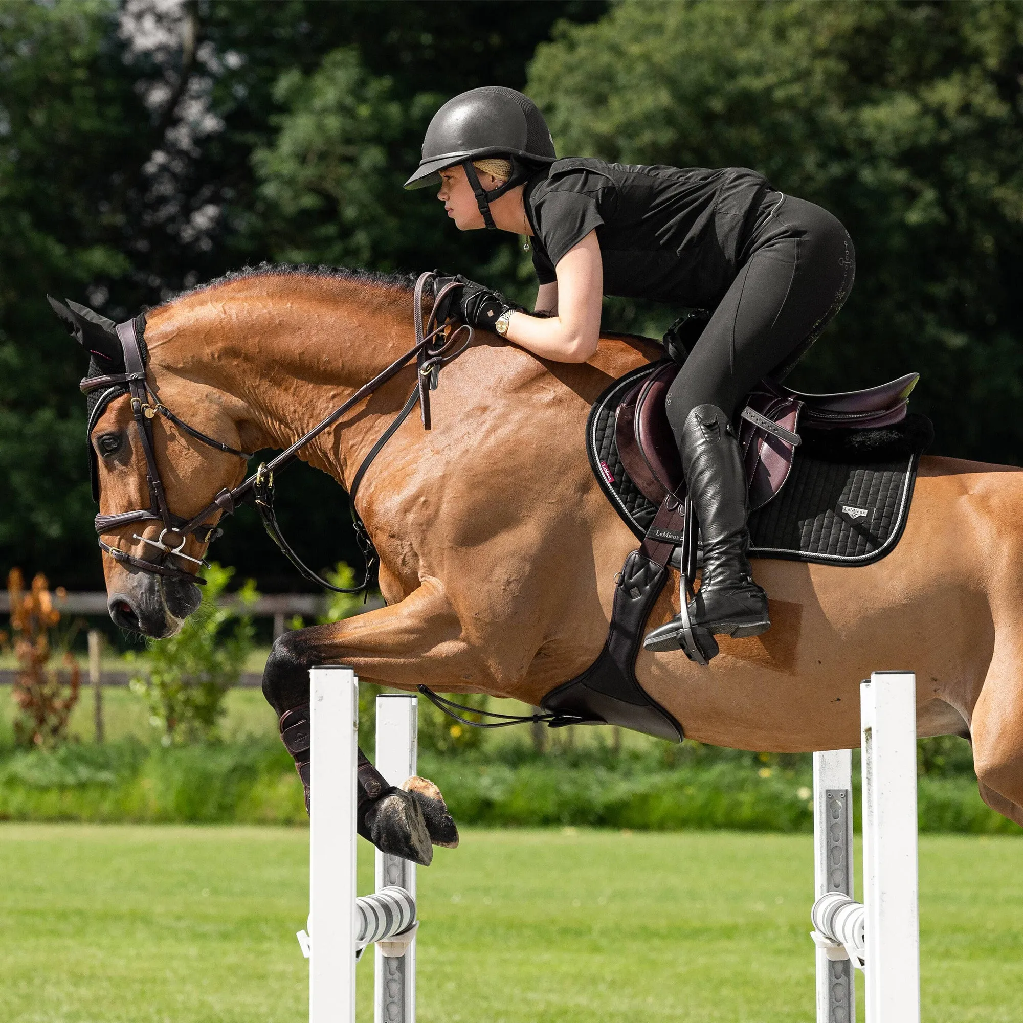 Lemieux Puissance Suede Close Contact Saddle Pad - Black