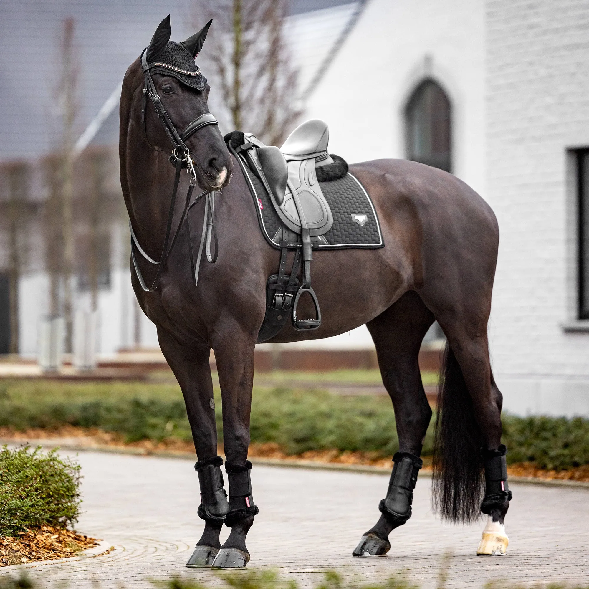 Lemieux Puissance Suede Dressage Saddle Pad - Black