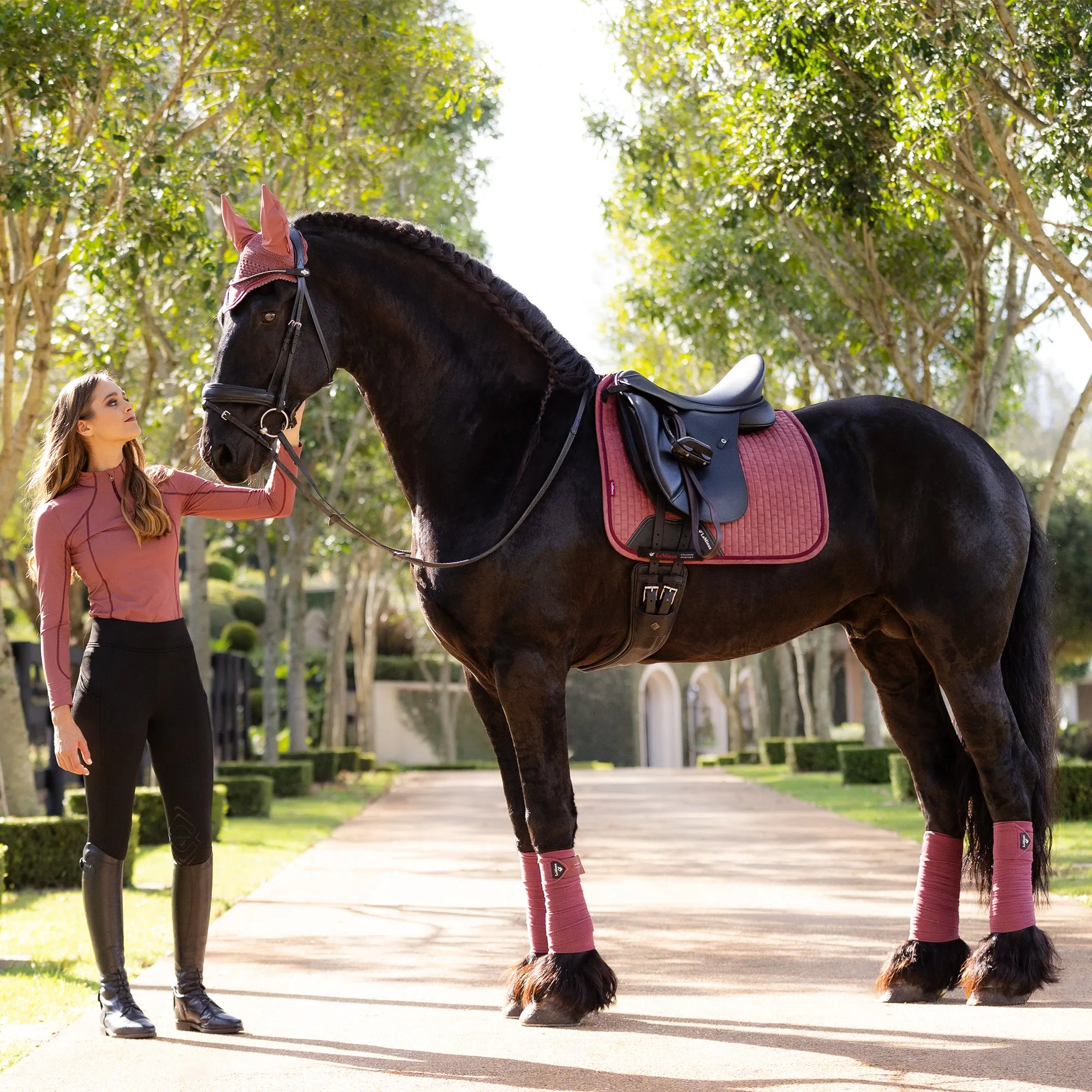 Lemieux Suede Dressage Square - Orchid