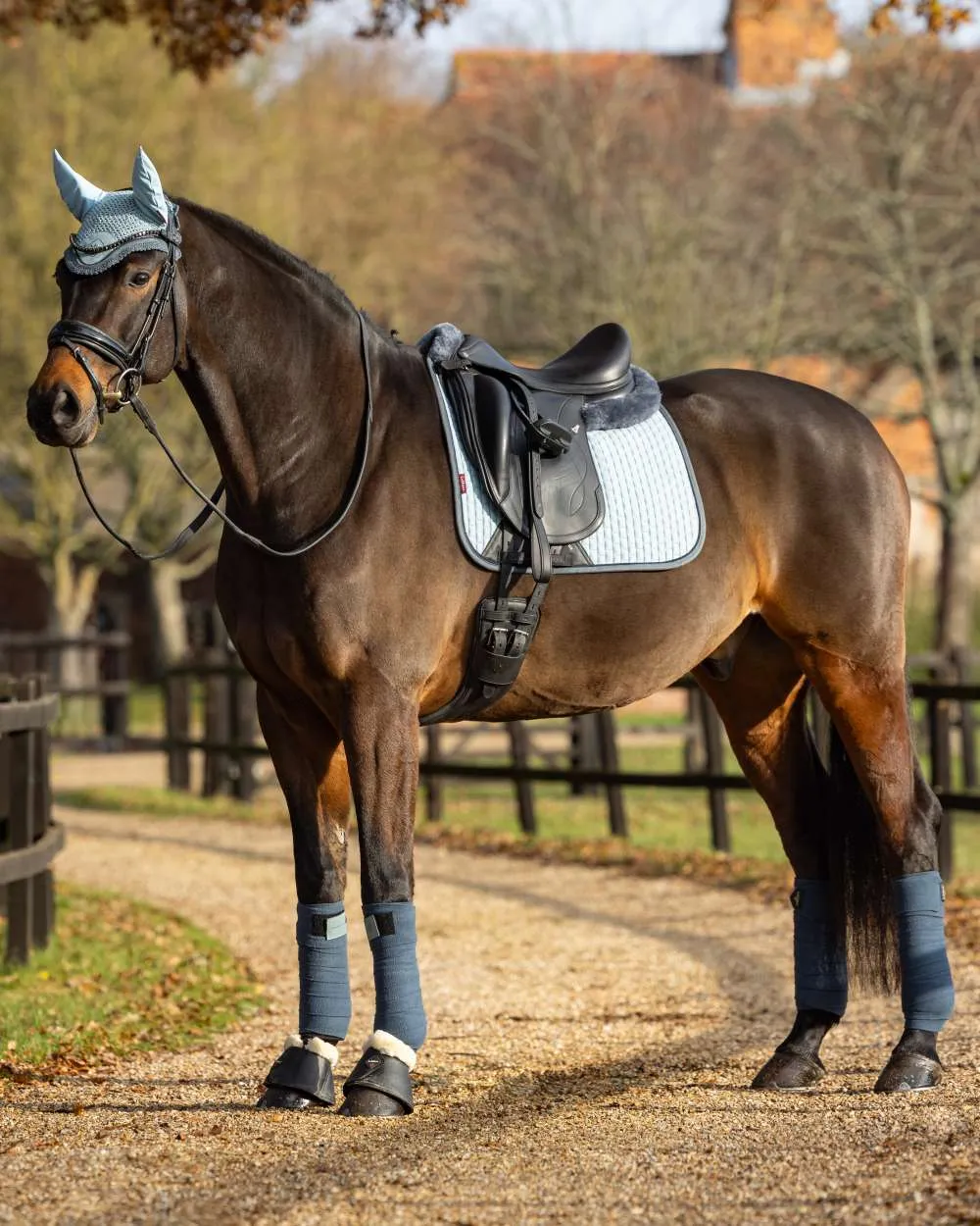 LeMieux Suede Dressage Square